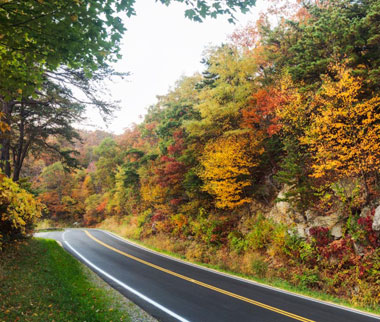 A fall roadway at Shenandoah National Park